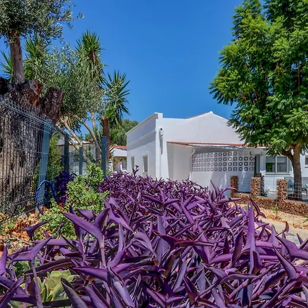 Moncoracao Village Holiday home *